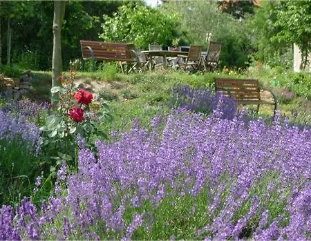 Orli Hnizdo At Chateau Novak לינה וארוחת בוקר Křivoklát