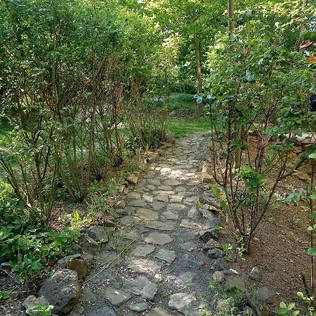 Orli Hnizdo At Chateau Novak Кршивоклат