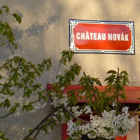 Orli Hnizdo At Chateau Novak Bed & Breakfast