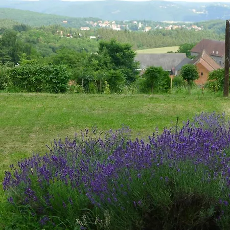 Orli Hnizdo At Chateau Novak Bed & Breakfast *