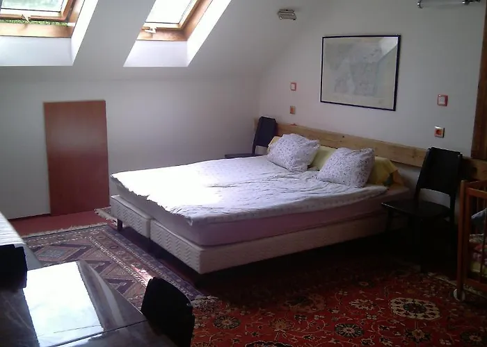 Orli Hnizdo At Chateau Novak *