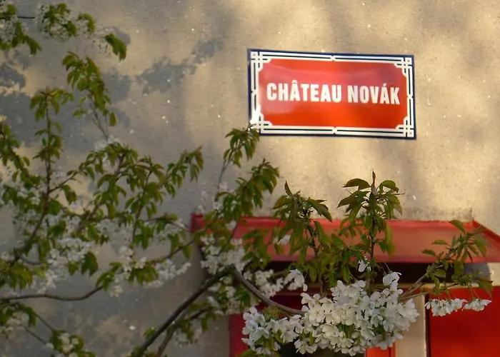 Orli Hnizdo At Chateau Novak Bed & Breakfast