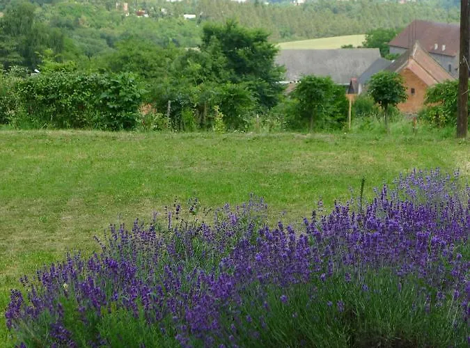 Orli Hnizdo At Chateau Novak Nocleg ze śniadaniem *